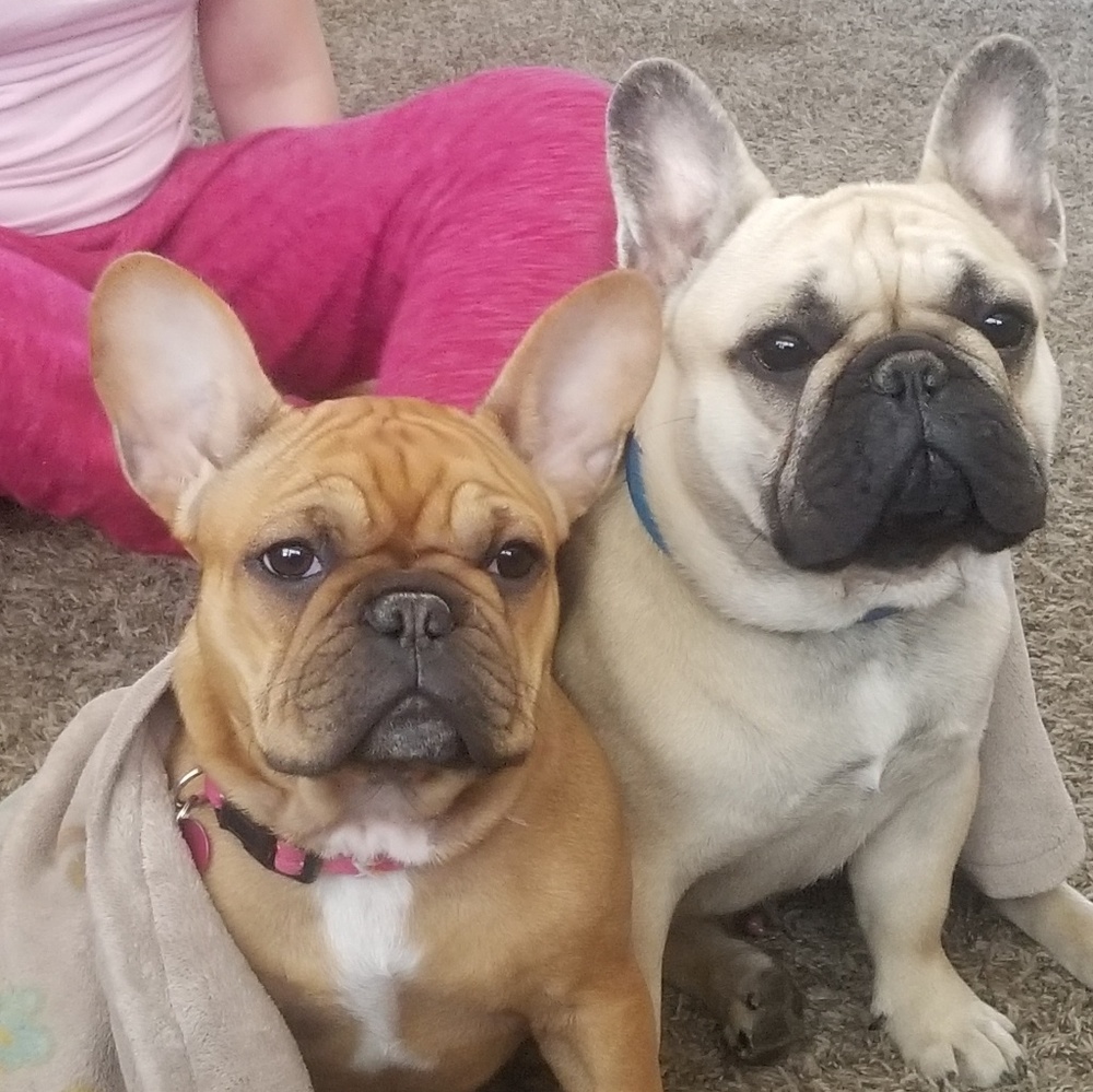 Meet your Posher, Amy